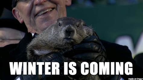 Groundhog Day Prediction 6 More Weeks Of Winter