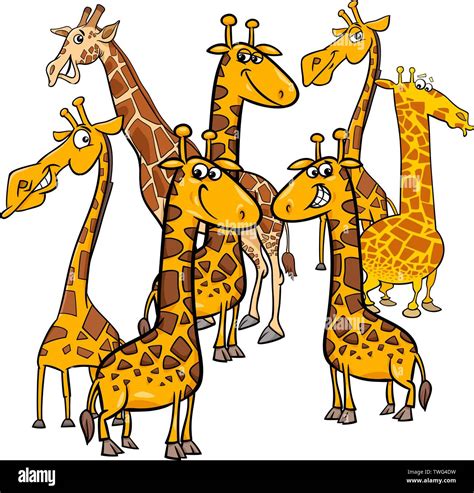 Cartoon Illustration Of Funny Giraffes Animal Characters Group Stock