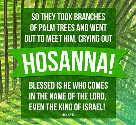 Palm Sunday John 1213 Palm Sunday Quotes Happy Palm Sunday Blessed