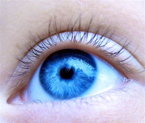 Blue Blue Blue Eyes Cool Eyes Beautiful Eyes