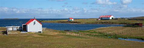 tailor made vacations to the falkland islands audley travel
