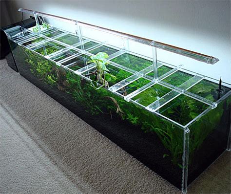 The broad spectrum of aquarium tank top cover design available on the site are made from sturdy and durable materials that last for a long time underwater and can still the material quality of these aquarium tank top cover design range from plastic to plastic with ceramic base and acrylic materials. The Fern and Mossery: Round Acrylic Lids for Terrariums