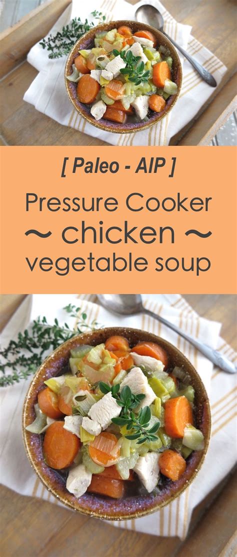 Check Out The Best Pressure Cooker Chicken Vegetable Soup