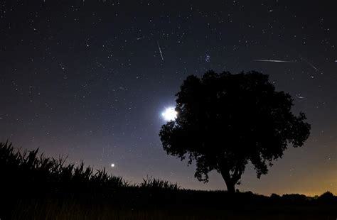 Uitleg bij de jaarlijkse meteoorzwermen meteoren zijn de lichtende sporen die zo nu en dan in een flits aan de sterrenhemel verschijnen. Vanavond en vannacht topweer om vallende sterren te zien | Foto | AD.nl