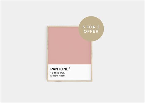 Pantone Pink Poster Pantone Print Mellow Rose 3 For 2 Etsy