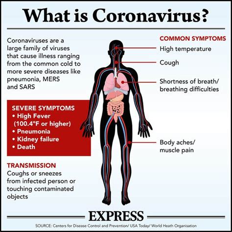 Most infected people will develop mild to moderate serious symptoms: Coronavirus symptoms: COVID-19 test kit promises results ...