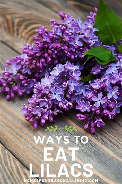 Ways To Eat Lilacs Edible Flowers Flower Food Foraged Food