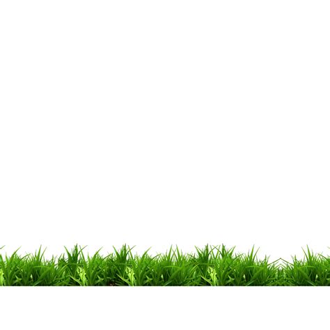 Grass Border Png