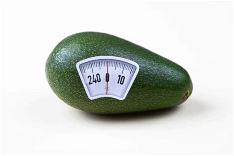 How Much Does An Avocado Weigh Fruigees