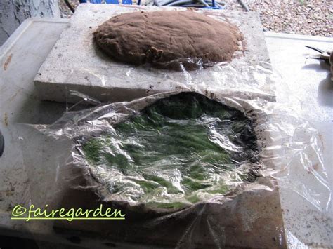 42 best images about leaf casting on Pinterest | Gardens, Planters and