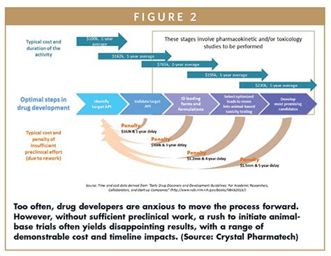 Steps Of Drug Development