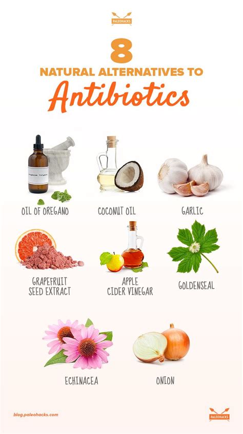 8 Natural Alternatives To Antibiotics