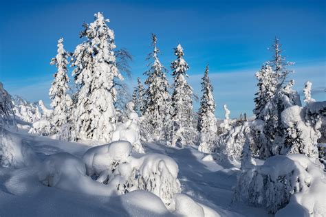 Budget Lapland Wat Kost Een Reis Naar Lapland In De Winter