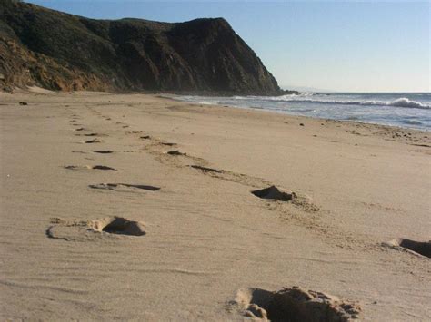 Point Sal California State Parks On The Beach Guide To Point Sal
