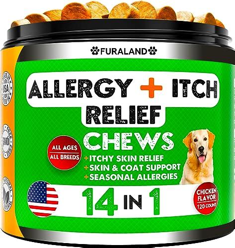 Top 10 Best Anti Allergy For Dogs Reviews And Buying Guide Katynel