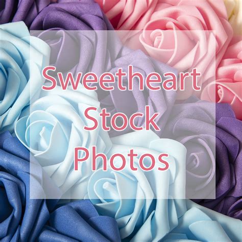 Sweetheart Stock Photos Createmeow