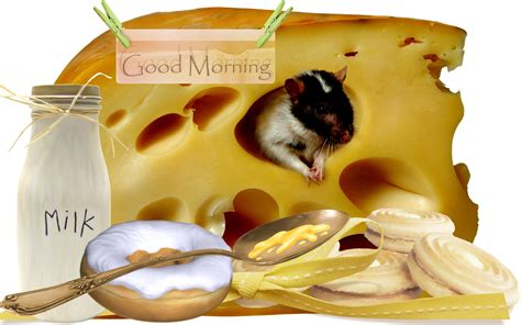 Cheese Milk And Cookies Delicious Breakfast For Mice