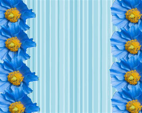 Blue Flower Borders And Frames Desktop Background 1600 X 1280