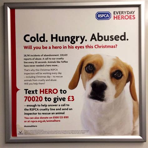 This Train Advert Is For The Well Known Animal Welfare Organisation