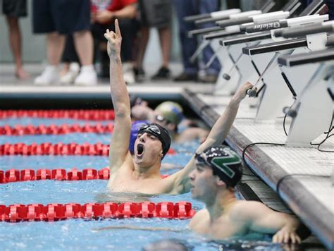 2017 Ihsaa High School Boys State Swimming And Diving Finals