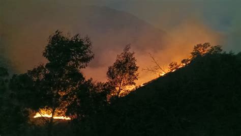 Kebakaran Hutan Lereng Gunung Arjuno Merembet Ke Puncak Koridor
