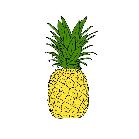 'Pineapple ' Sticker by jadydesigns | Pineapple sticker, Pineapple, Stickers