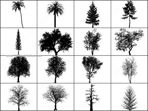 Tree plan free brushes licensed under creative commons, open source, and more! Free Photoshop Brushes Tree | Photoshop Free Brushes ...
