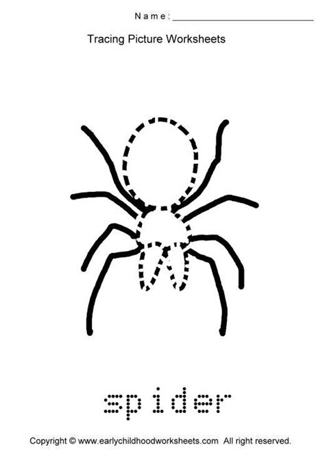 Tracing Spider Picture Spider Pictures Tracing Pictures Spider