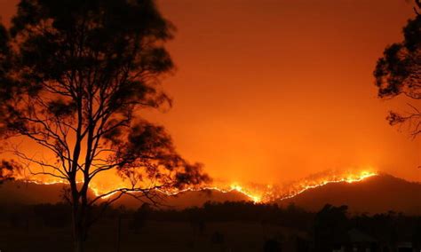 devastadores incendios forestales en australia historias descubre wwf