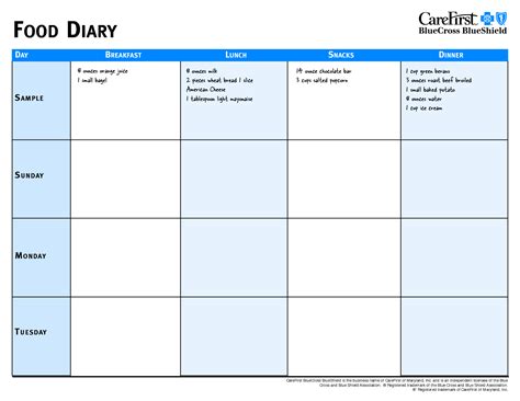 Best Images Of Day Food Diary Printable Food Diary Log Sheets
