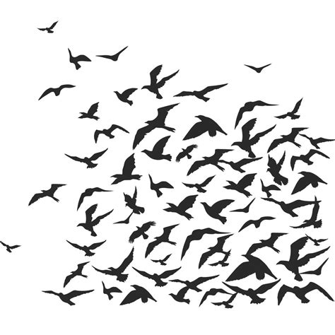 Flock Of Birds Animals Wall Art Decal Wall Stickers Transfers Рисунок