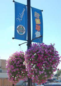 Pick a seed, then plant it in a pot. Aurora IL Garden Center,Serving the Chicago Area ...
