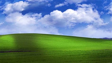 Download Bliss Windowsxp Default Wallpaper Animated By Patrickp45