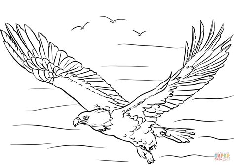 Bald Eagle With Wings Spread Coloring Page Free Printable Coloring Pages