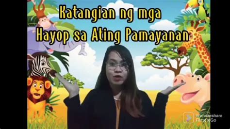 Science 3 Mga Katangian Ng Hayop Sa Pamayanan Youtube