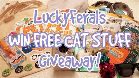 Lucky Ferals Win Free Cat Stuff Giveaway