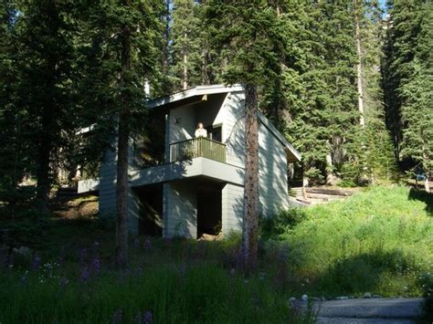 Our cabins/chalets are located along the scenic bow valley parkway, a stretch of mountain road that connects banff and lake louise. Grizzley - Picture of Moraine Lake Lodge, Lake Louise ...