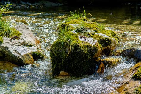 Creek With Fast Flowing Clear Water Stock Image Image Of Bank