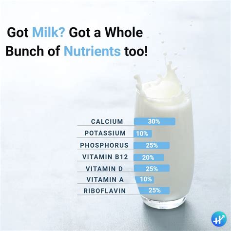 Health Benefits Of Milk Nutritious Drink Health Benefits Health