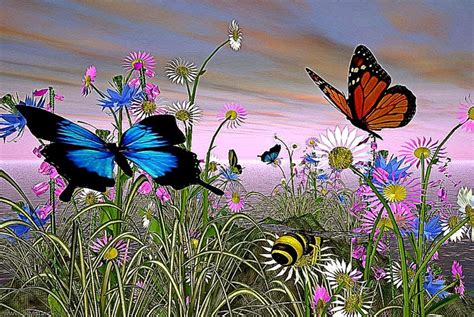 🔥 Free Download Animated Butterfly Wallpaper 962x645 For Your Desktop
