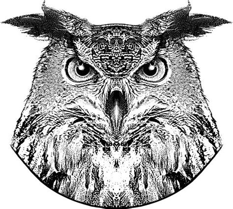 Top 60 Great Horned Owl Clip Art Vector Graphics And Illustrations