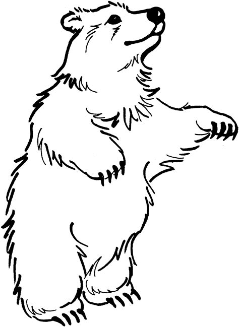 Coloring Book Pages Of Bears
