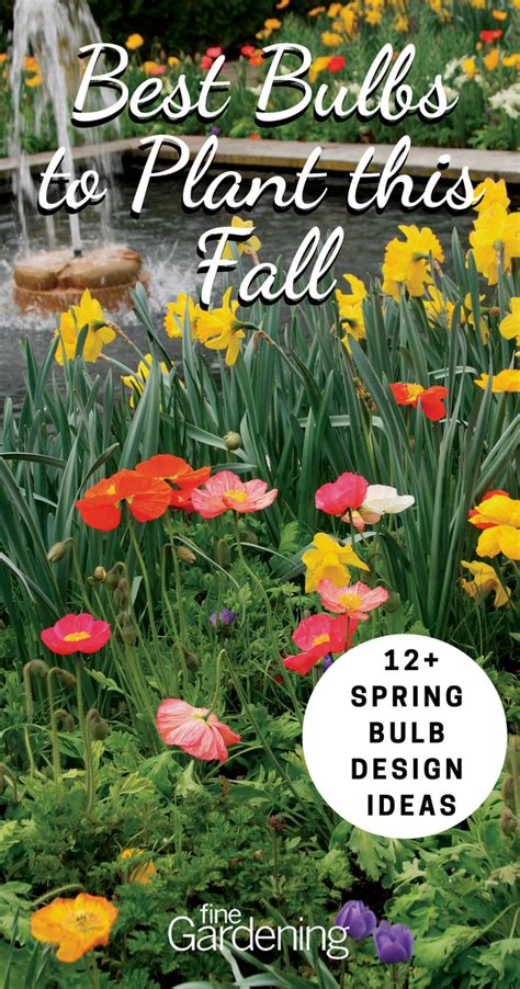 How To Plant Fall Bulbs Now For Incredible Spring Color And 5 Great