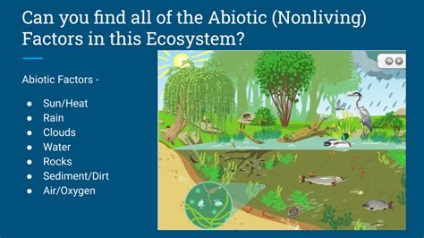Abiotic Definition And Examples Biology Online Dictionary