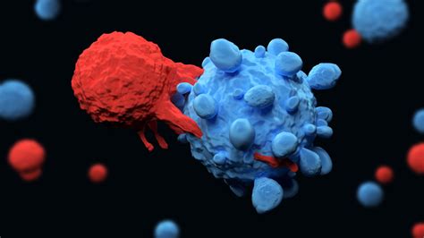 Exploding Cancer Cells Can Cause Side Effects In Car T Cell Therapies