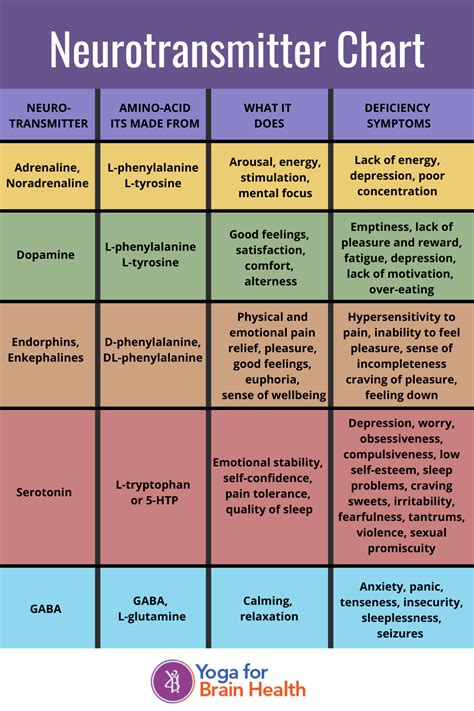 Neurotransmitter Chart Do You Know What Chemicals Are Active In Your