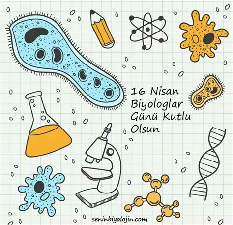 Pin De Elf Gvn En Biyoloji Garabatos De Ciencia Dibujos De Biologia