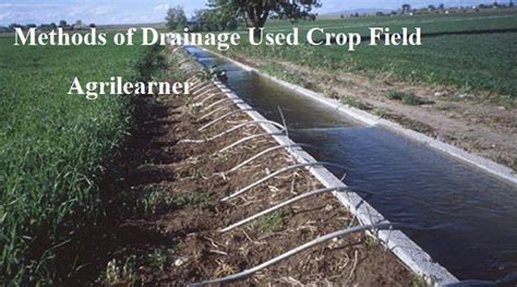 Methods Of Drainage Used Crop Field Agri Learner