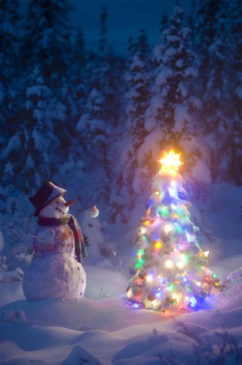 Snowman Stands In A Snowcovered Spruce Forest Next To A Decorated