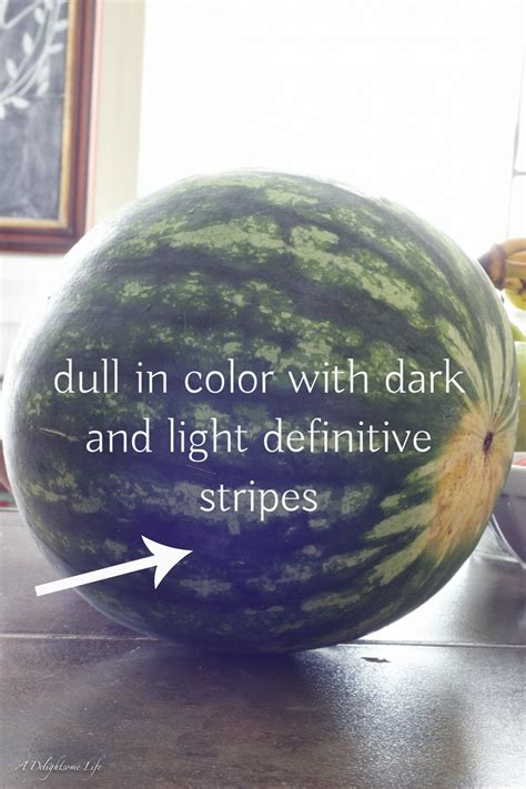Why does my watermelon make a hollow sound when i pick it? How to Pick a Ripe Watermelon that Tastes Like Summer ...